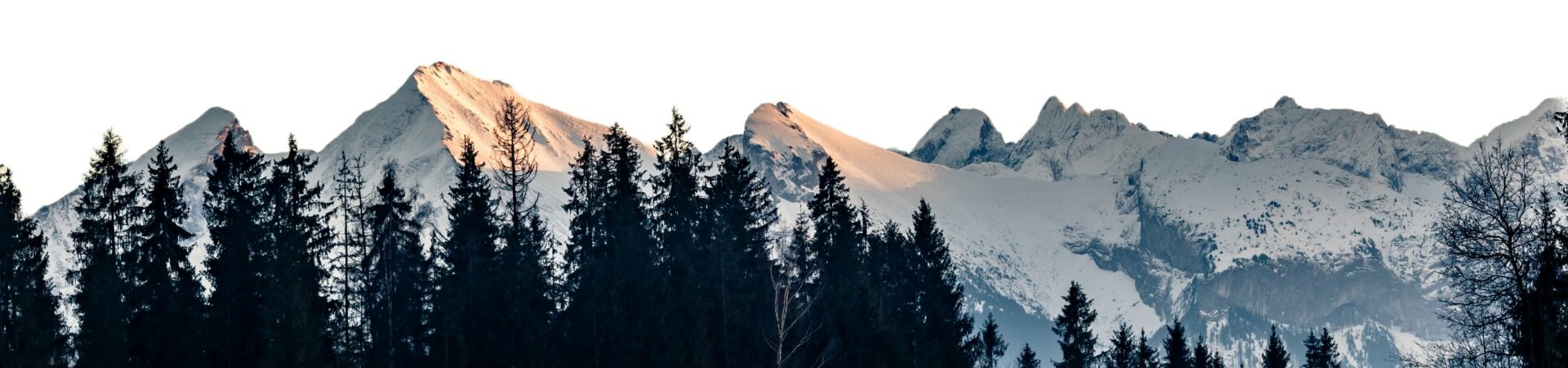 image-adobe-express-1